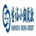 芜湖生福小额贷款有限公司