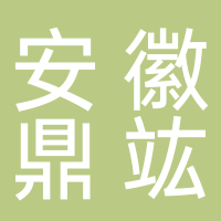 安徽鼎竑新能源科技有限公司
